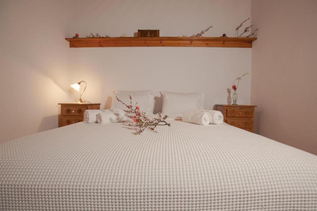 Eremia Rustic House - Entire Villa In Pelion 마크리니차 외부 사진