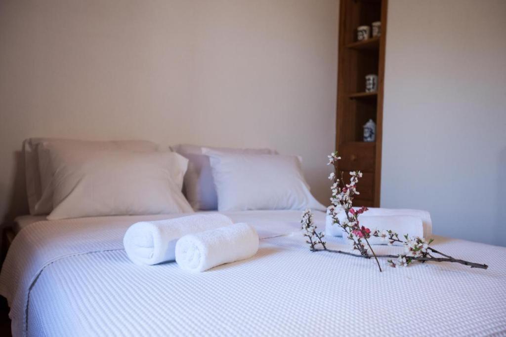 Eremia Rustic House - Entire Villa In Pelion 마크리니차 외부 사진
